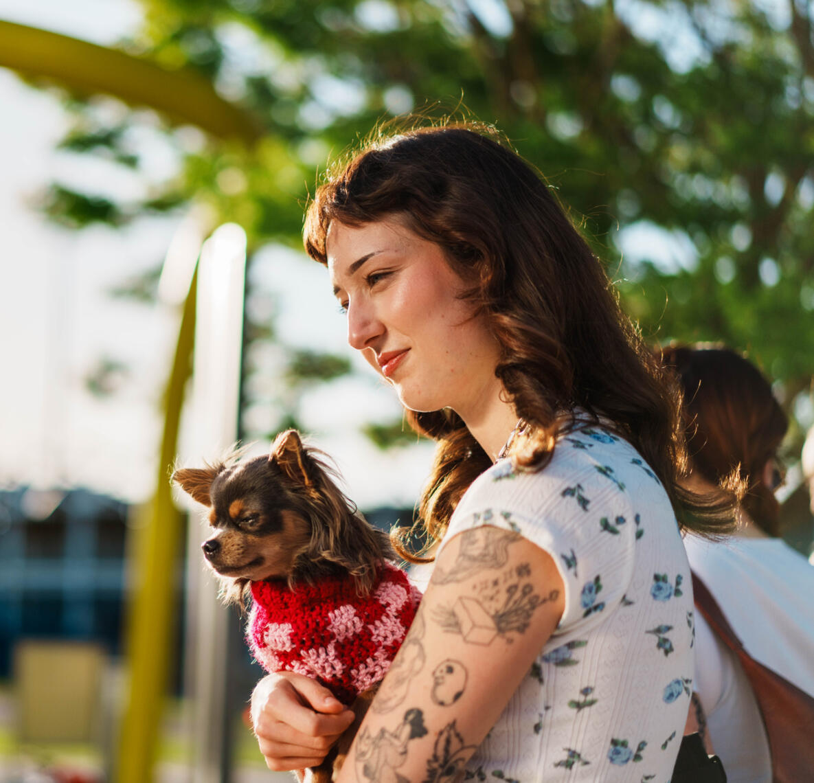 UTAS Inveresk Campus lutruwita