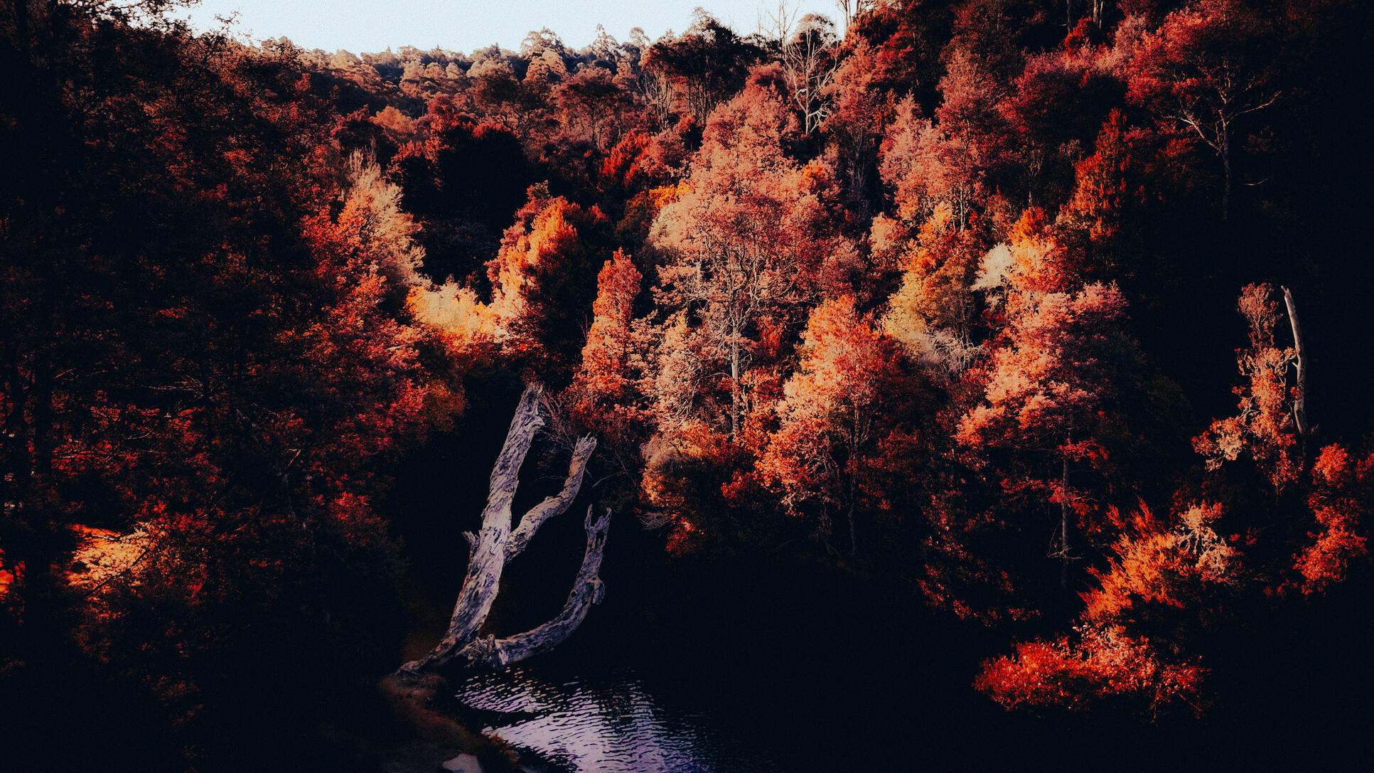 Untitled Untitled